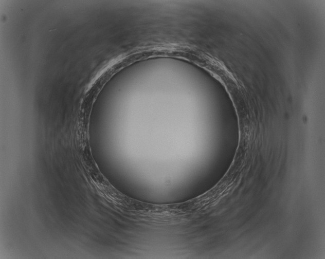 X0000087701256200705040842