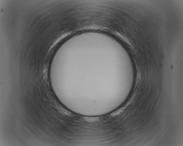 X0000087701258200705040842
