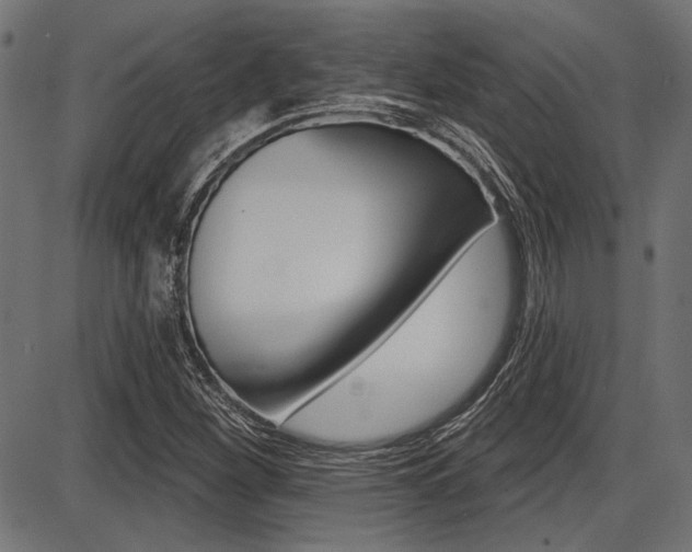 X0000087701260200705040842