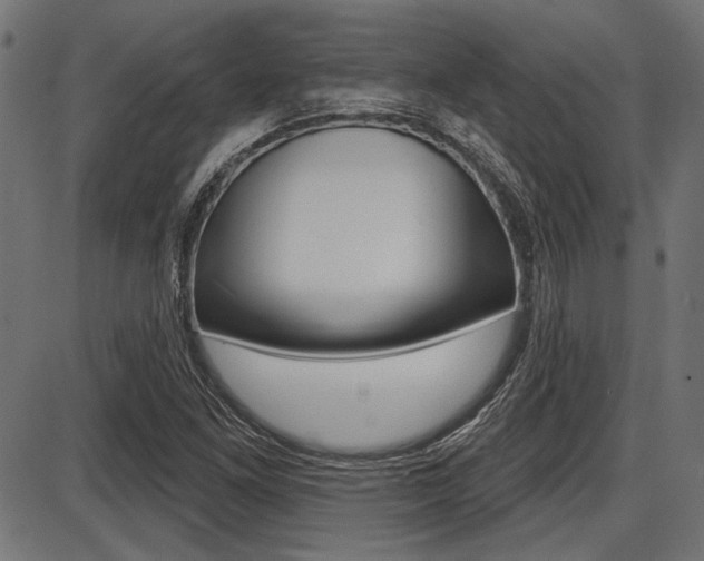 X0000087701261200705040842