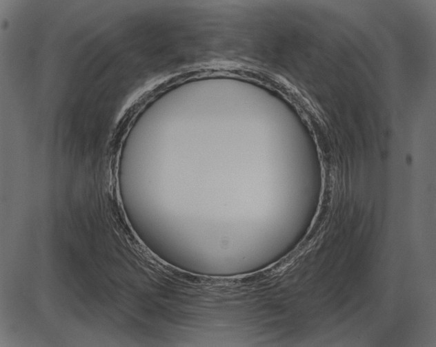 X0000087701262200705040842