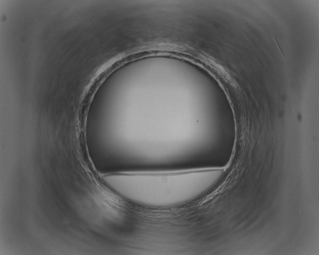 X0000087701264200705040842