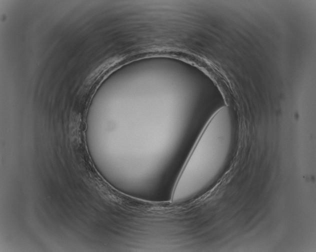 X0000087701265200705040842