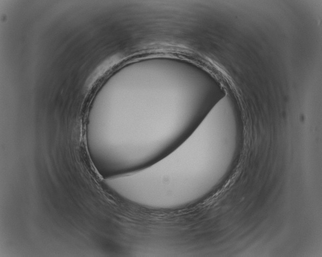 X0000087701267200705040842