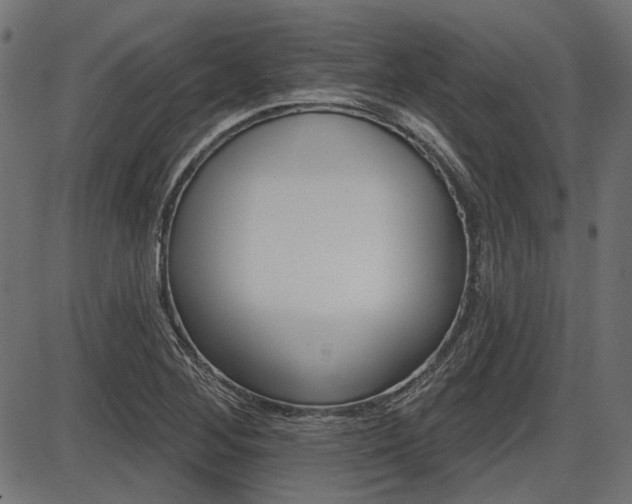X0000087701268200705040842