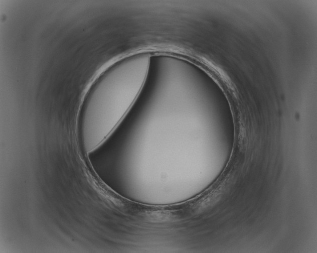 X0000087701272200705040842