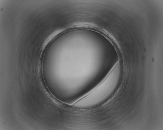 X0000087701277200705040842