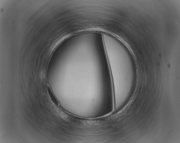 X0000087701281200705040842