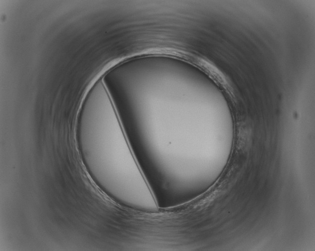 X0000087701284200705040842