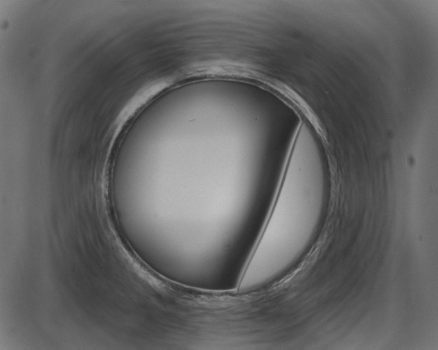 X0000087701285200705040842