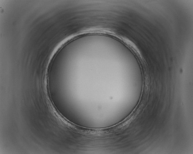 X0000087701288200705040842