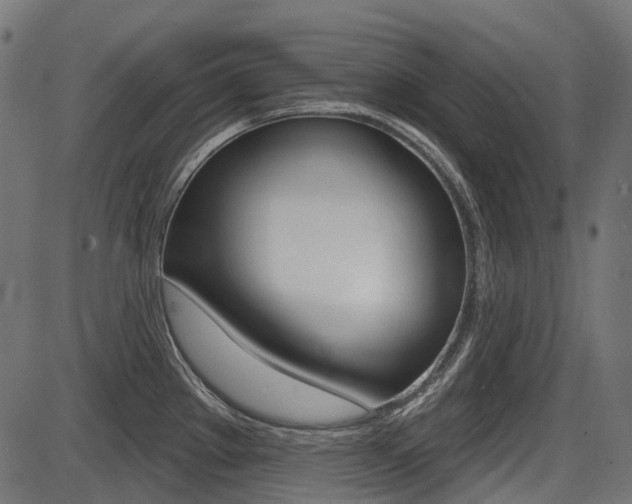 X0000087701289200705040842
