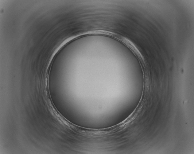 X0000087701292200705040842