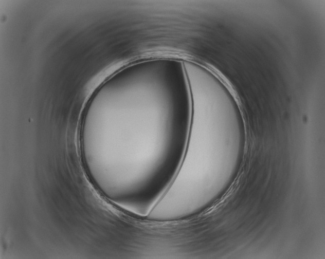 X0000087701293200705040842