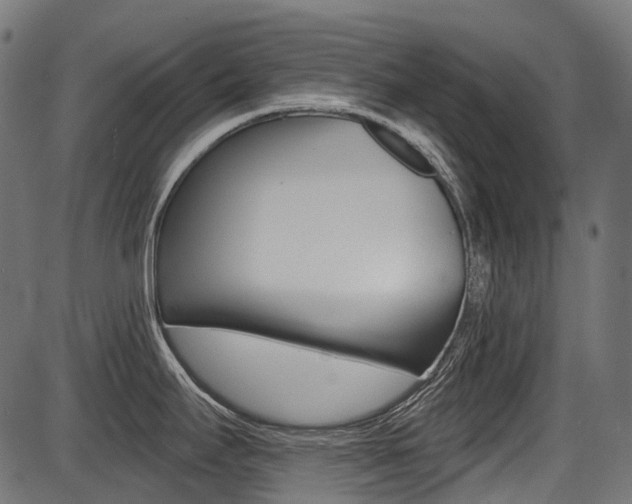 X0000087701295200705040842