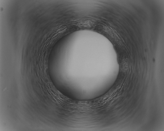 X0000087701297200705040841