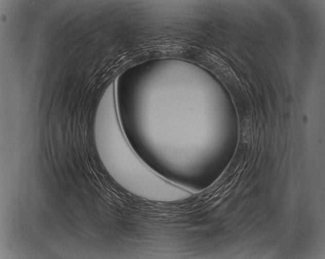 X0000087701298200705040841