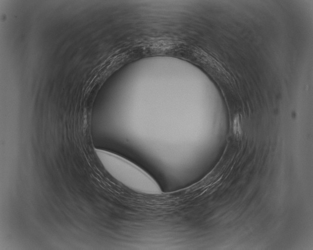 X0000087701299200705040841