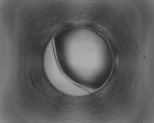 X0000087701300200705040841