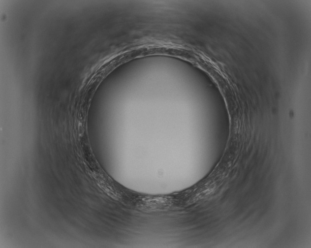 X0000087701303200705040841