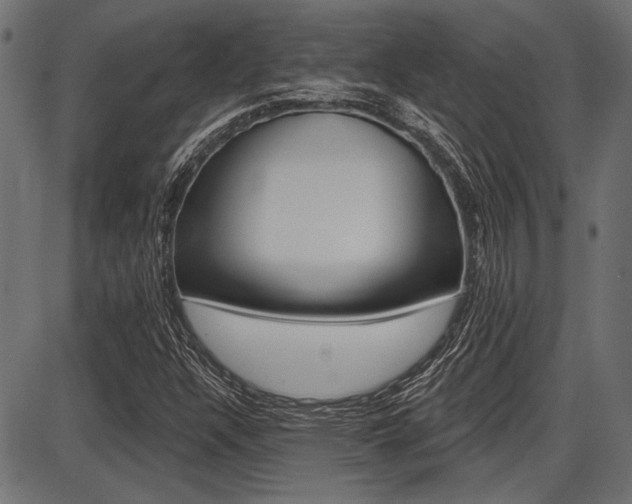 X0000087701304200705040841