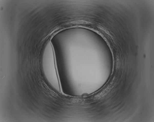 X0000087701305200705040841