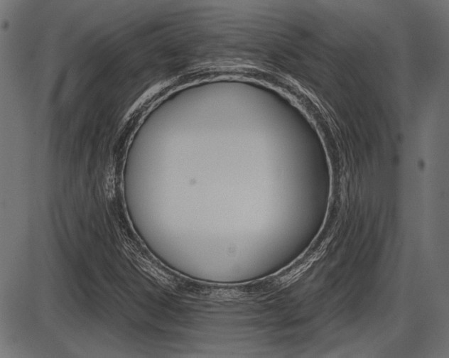X0000087701306200705040841
