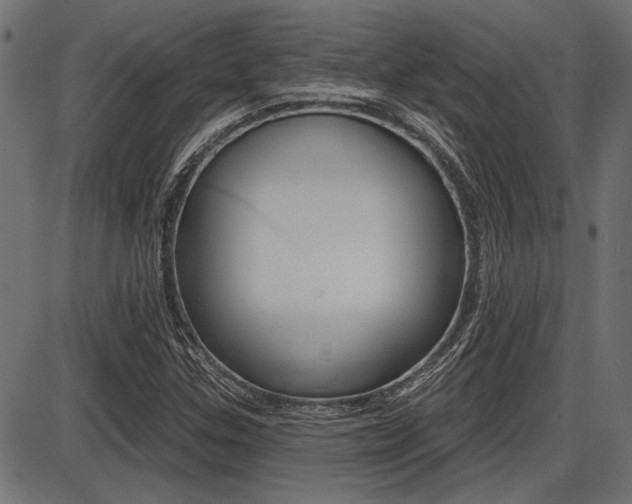 X0000087701307200705040841