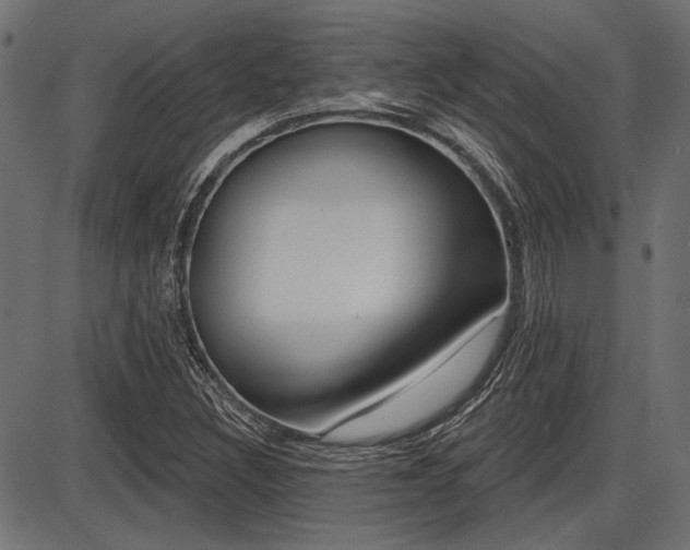 X0000087701308200705040841