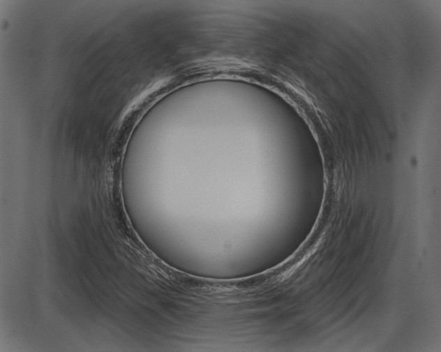 X0000087701309200705040841