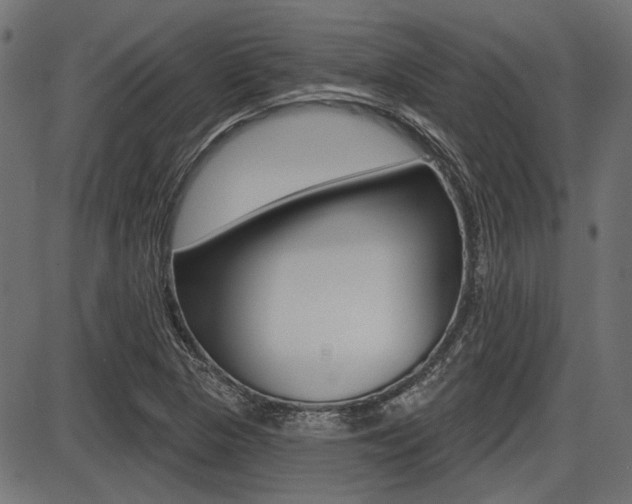 X0000087701313200705040841