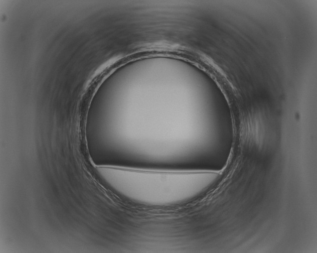 X0000087701315200705040841