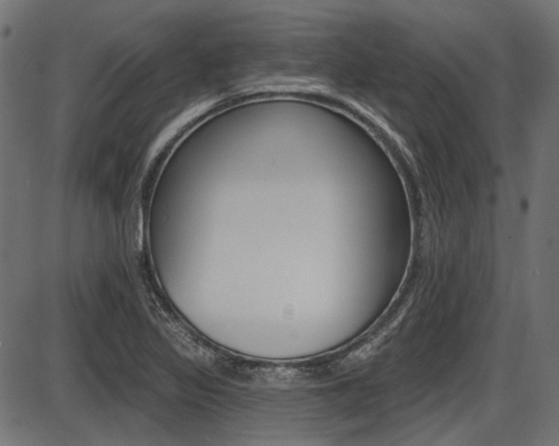 X0000087701317200705040841