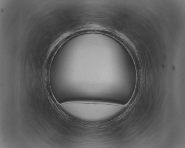 X0000087701318200705040841