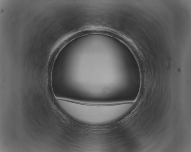 X0000087701319200705040841