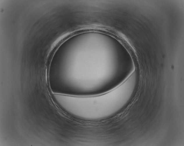 X0000087701320200705040841