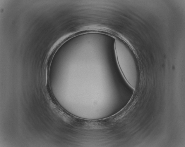 X0000087701323200705040841