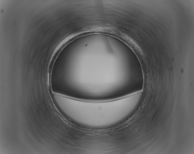 X0000087701324200705040841