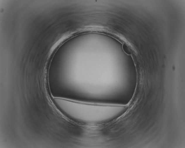 X0000087701325200705040841