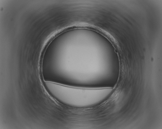 X0000087701327200705040841