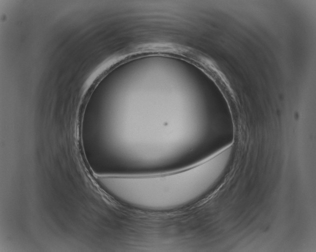 X0000087701328200705040841