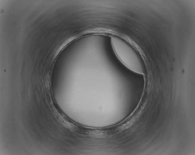 X0000087701329200705040841