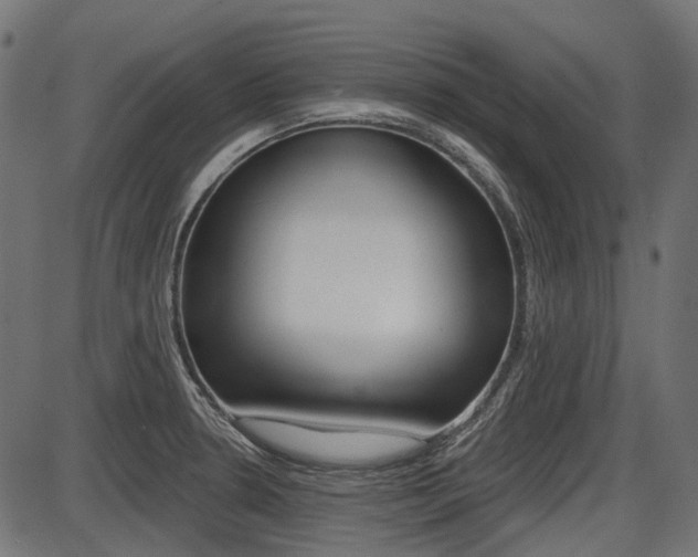 X0000087701330200705040841