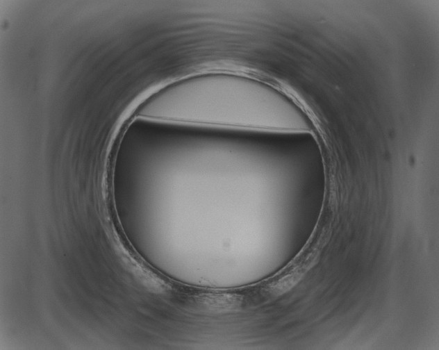X0000087701331200705040841