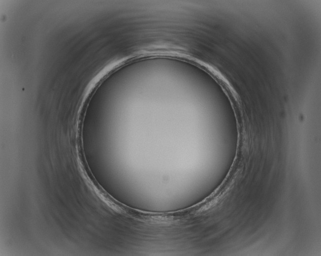 X0000087701333200705040841