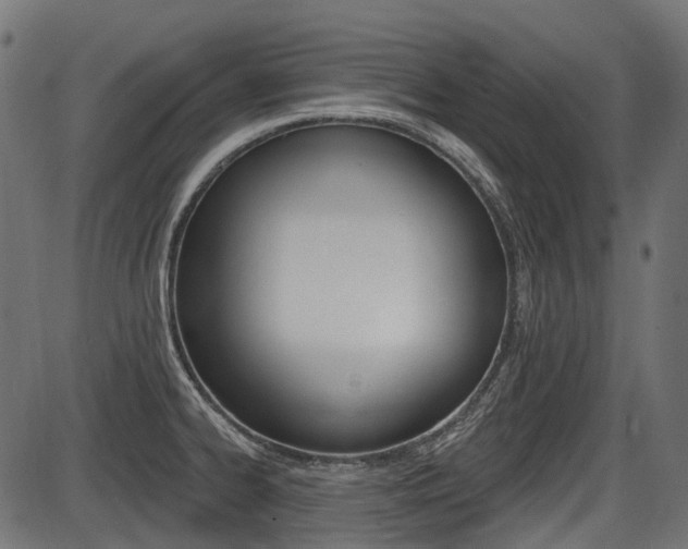 X0000087701334200705040841