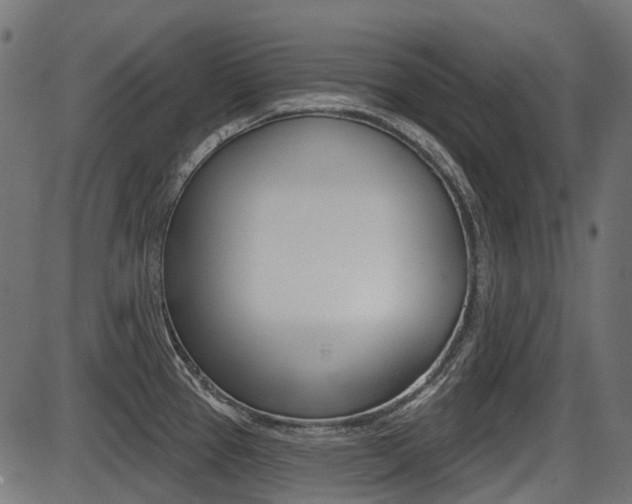 X0000087701337200705040841