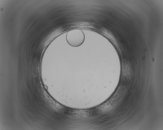 X0000087701338200705040842