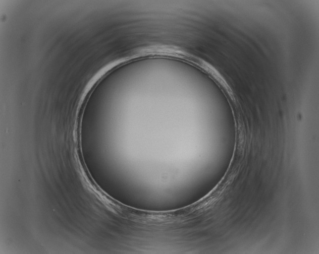 X0000087701339200705040842