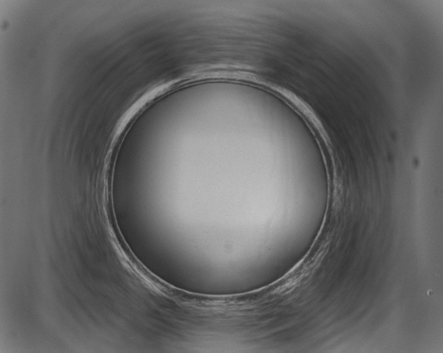X0000087701341200705040842